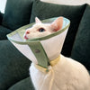 Lightweight Elizabethan Collar for Pets