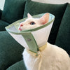Lightweight Elizabethan Collar for Pets