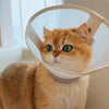 Lightweight Elizabethan Collar for Pets