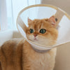 Lightweight Elizabethan Collar for Pets