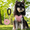 X-Style Polyester Dog Harness with Matching Rope Leash