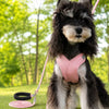 X-Style Polyester Dog Harness with Matching Rope Leash