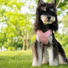 X-Style Polyester Dog Harness with Matching Rope Leash