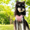 X-Style Polyester Dog Harness with Matching Rope Leash