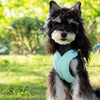 X-Style Polyester Dog Harness with Matching Rope Leash