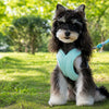 X-Style Polyester Dog Harness with Matching Rope Leash
