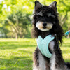 X-Style Polyester Dog Harness with Matching Rope Leash