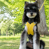 X-Style Polyester Dog Harness with Matching Rope Leash