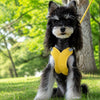 X-Style Polyester Dog Harness with Matching Rope Leash