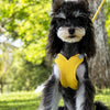 X-Style Polyester Dog Harness with Matching Rope Leash