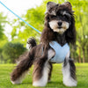 X-Style Polyester Dog Harness with Matching Rope Leash