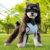 X-Style Polyester Dog Harness with Matching Rope Leash