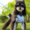 X-Style Polyester Dog Harness with Matching Rope Leash
