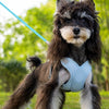 X-Style Polyester Dog Harness with Matching Rope Leash