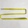 Lightweight Quick-Dry Polyester Dog Leash, 59.1-Inch