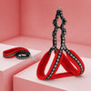 Small Dog Vest Harness for Everyday Walks