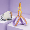 Small Dog Vest Harness for Everyday Walks
