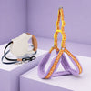 Small Dog Vest Harness for Everyday Walks