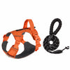 Adjustable Nylon Vest-Style Dog Harness with 59.1-Inch Leash