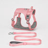 Lightweight Nylon Dog Harness and Leash Set