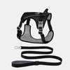 Lightweight Nylon Dog Harness and Leash Set