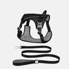 Lightweight Nylon Dog Harness and Leash Set