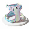 H-Style Polyester Dog Harness and Leash Set