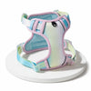 H-Style Polyester Dog Harness and Leash Set