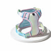 H-Style Polyester Dog Harness and Leash Set