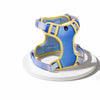 H-Style Polyester Dog Harness and Leash Set