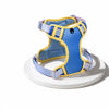H-Style Polyester Dog Harness and Leash Set