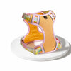 H-Style Polyester Dog Harness and Leash Set