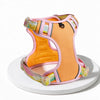 H-Style Polyester Dog Harness and Leash Set