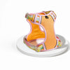 H-Style Polyester Dog Harness and Leash Set
