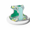 H-Style Polyester Dog Harness and Leash Set