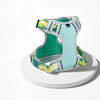 H-Style Polyester Dog Harness and Leash Set