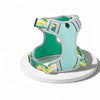 H-Style Polyester Dog Harness and Leash Set