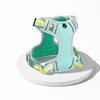 H-Style Polyester Dog Harness and Leash Set
