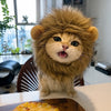 Animal Costume Hats for Cats and Dogs
