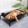 Elevated Dog Cot Bed with Removable Washable Cover