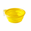 Collapsible Travel Bowl for Dogs and Cats