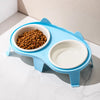 Ceramic Double Cat Bowl Set with Stand for Food & Water