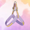Y-Shaped Dog Harness for Small to Medium Dogs