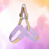 Y-Shaped Dog Harness for Small to Medium Dogs