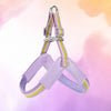 Y-Shaped Dog Harness for Small to Medium Dogs
