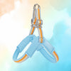 Y-Shaped Dog Harness for Small to Medium Dogs