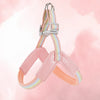 Y-Shaped Dog Harness for Small to Medium Dogs