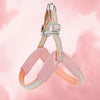 Y-Shaped Dog Harness for Small to Medium Dogs