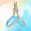 Y-Shaped Dog Harness for Small to Medium Dogs