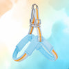 Y-Shaped Dog Harness for Small to Medium Dogs
